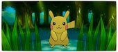 Pikachu Pokemon XY