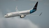 Boeing 737-800 Livery Pack 2