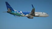 Boeing 737-800 Livery Pack 3