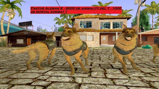 Perro Pastor Alemán 
