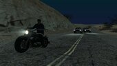 Western Freeway Bobber