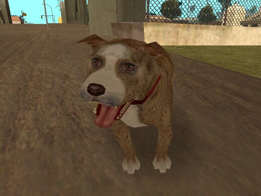Champ and Dogs from Postal 2