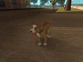 Champ and Dogs from Postal 2