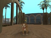 Champ and Dogs from Postal 2