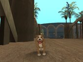 Champ and Dogs from Postal 2
