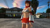 DOA5LR Kasumi Skirt Priest Costume