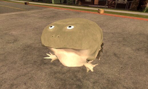 Frog From Roblox Botarga