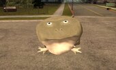 Frog From Roblox Botarga