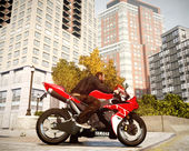 Yamaha YZF R1 2012
