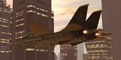 F-14 Tomcat