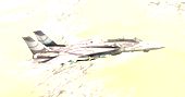 F-14 Tomcat