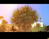 Vector ENB-Series 0.248 Edition