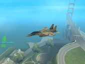 F-15E 303rd TFS Fighting Dragons