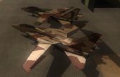 Grumman F-14B