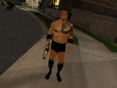 WWE Superstars Skin 2014