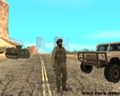 Israeli Defense Forces (Skin)