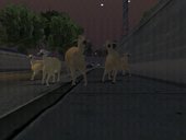 Animals' Gang Mod