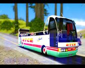 Bus Tours Dic Megadic 4x2 ETCE