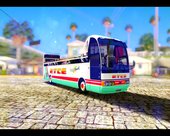 Bus Tours Dic Megadic 4x2 ETCE