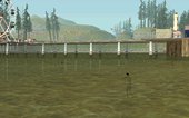 On The Beaches People Swim In The Water