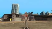 Unlimited Spiderman Skinpack 1