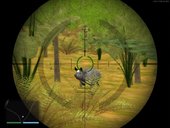 Wild Boar GTA V Style in The Malaise