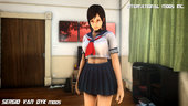 Kokoro Sailor School