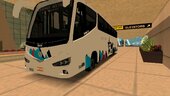 Estrella roja Aeropuerto Irizar i8