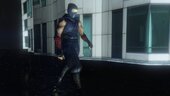 Ryu Hayabusa (From Nioh)