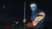Ryu Hayabusa (From Nioh)