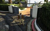 Lake Vinewood Hill Mansion