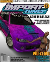 1990 Annis Flash