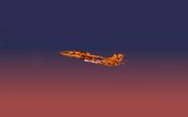 Northrop Grumman F-14 Tomcat IRIAF (Islamic Republic of Iran Air Force)