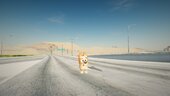 Bingo