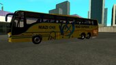 Volvo B9 ( Niazi Express )