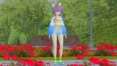 [Uma Musume] Daitaku Helios Casual