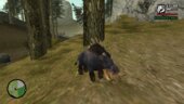 Conquest & Arena Boars (SMITE)