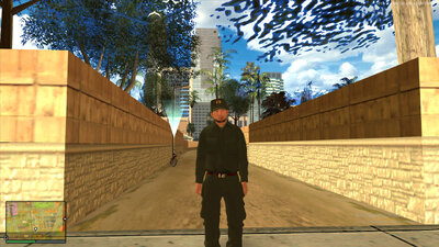 Vietnamese Neighborhood Security Force Skin V2